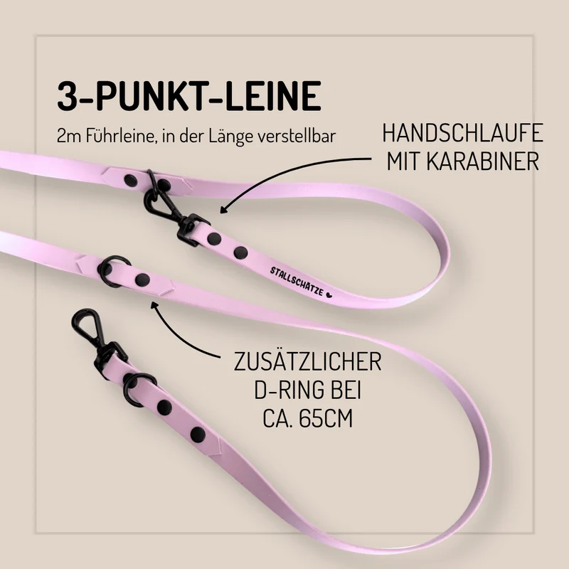 Biothane-Hundeleine 2m - individuell konfigurierbar