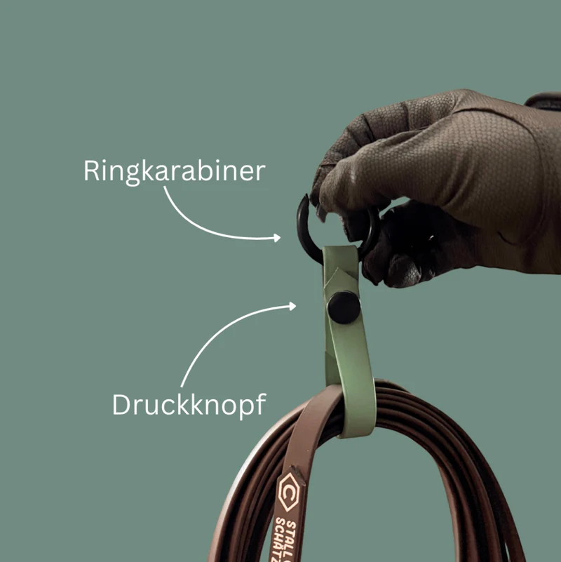 StallSchlaufe – praktischer Longenhalter aus Biothane