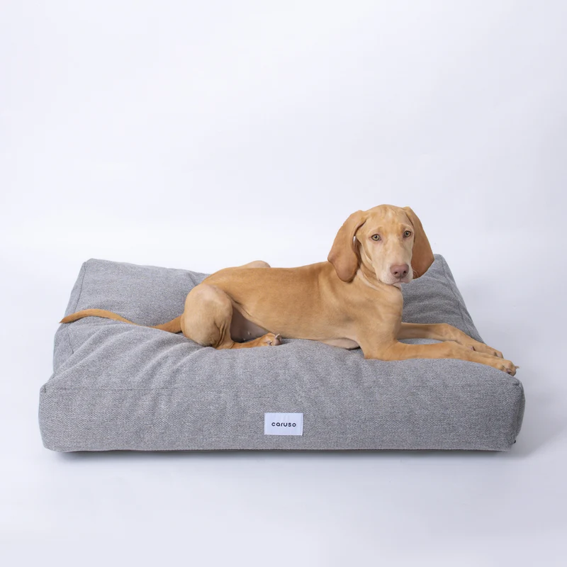 Hundebett Clean von Caruso - orthopädisch - recycelter PET-Bezug - Oeko-Tex® Standard - 2 Farben