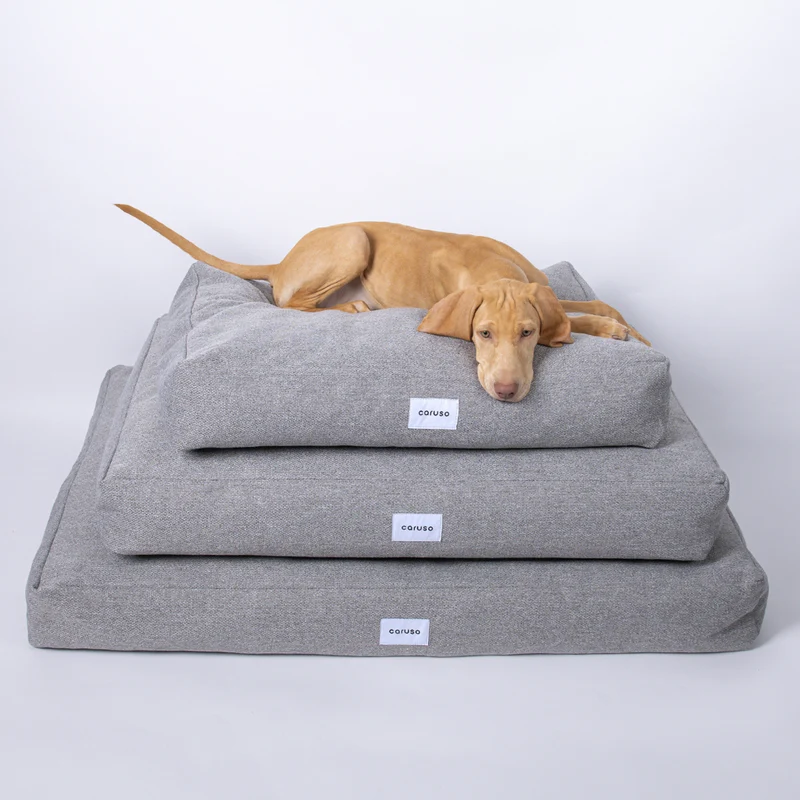 Hundebett Clean von Caruso - orthopädisch - recycelter PET-Bezug - Oeko-Tex® Standard - 2 Farben
