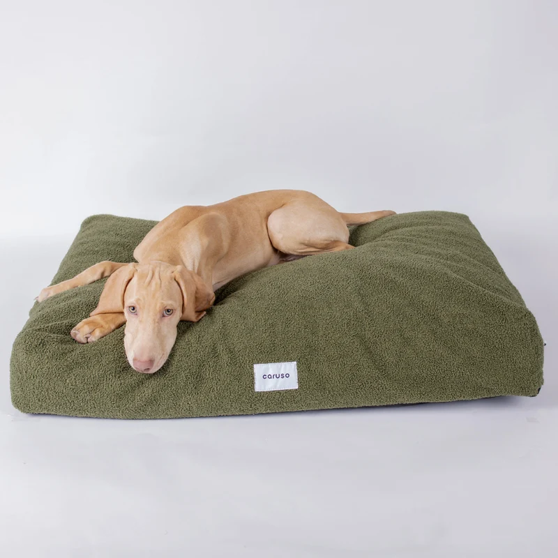 Hundebett Teddy von Caruso - orthopädisch - recycelter PET-Bezug - Oeko-Tex® Standard - 3 Farben & Größen