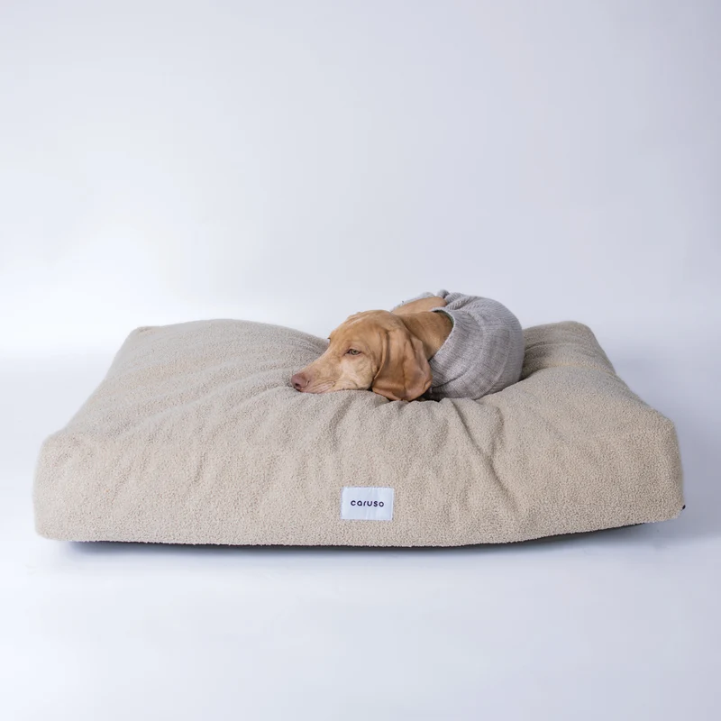 Hundebett Teddy von Caruso - orthopädisch - recycelter PET-Bezug - Oeko-Tex® Standard - 3 Farben & Größen