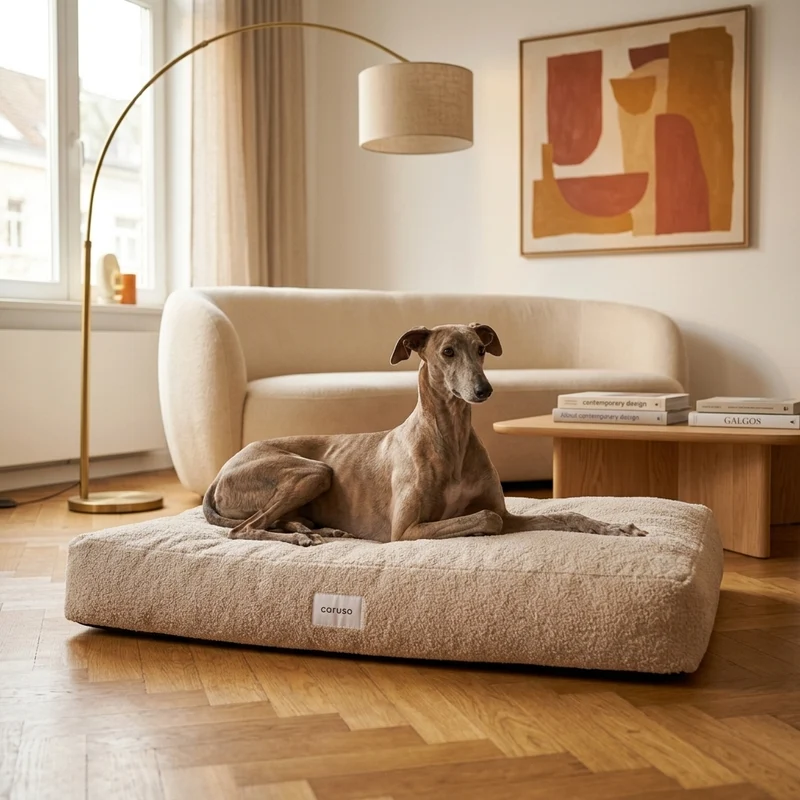 Hundebett Teddy von Caruso - orthopädisch - recycelter PET-Bezug - Oeko-Tex® Standard - 3 Farben & Größen