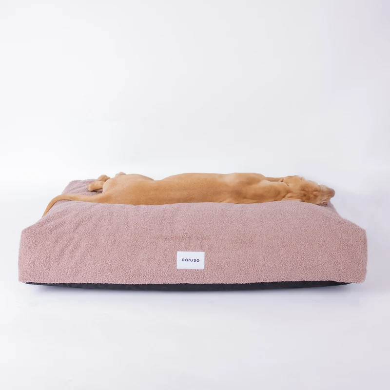 Hundebett Teddy von Caruso - orthopädisch - recycelter PET-Bezug - Oeko-Tex® Standard - 3 Farben & Größen