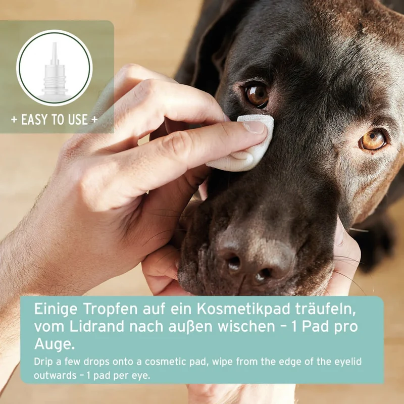 AniForte Sanfte Augenpflege für Hunde – Natürliche Augenreinigung mit Augentrost gegen Tränenflecken & Verkrustungen