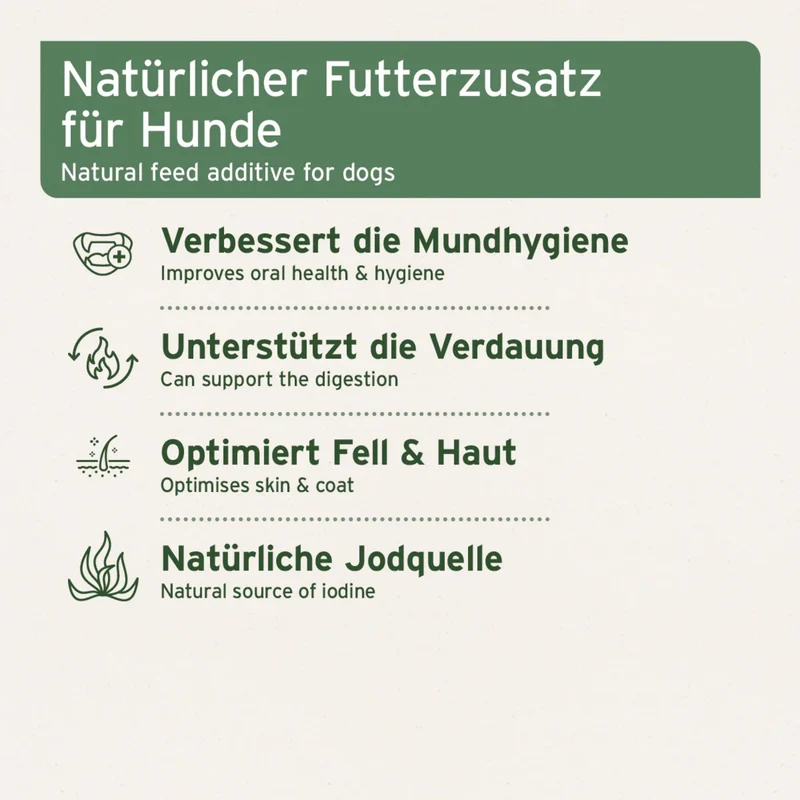 AniForte Seealgenmehl für Hunde – Natürliche Unterstützung für Mundhygiene, Verdauung & glänzendes Fell