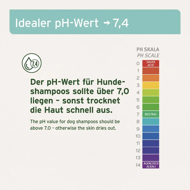 AniForte Neemöl Shampoo – Natürliche Pflege gegen Juckreiz & Hautirritationen für gesundes, glänzendes Hundefell bei sensibler Haut
