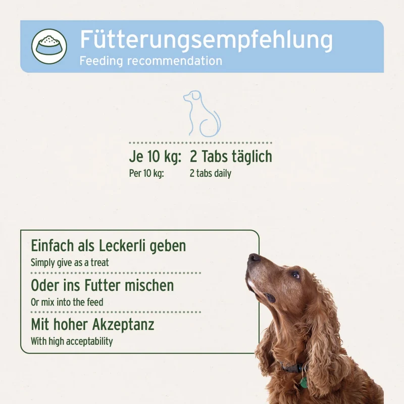 AniForte Bierhefe Tabs für Hunde – Natürliche Unterstützung für glänzendes Fell, gesunde Haut & Vitalität