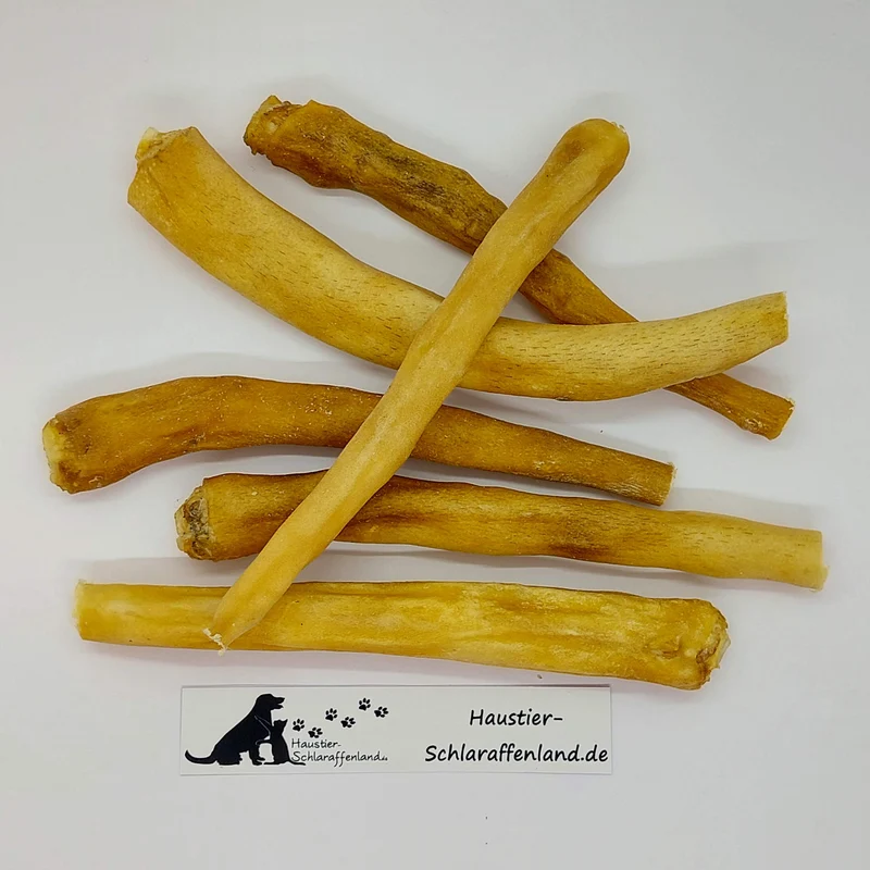 Ochsen-Schwanz, 12cm
