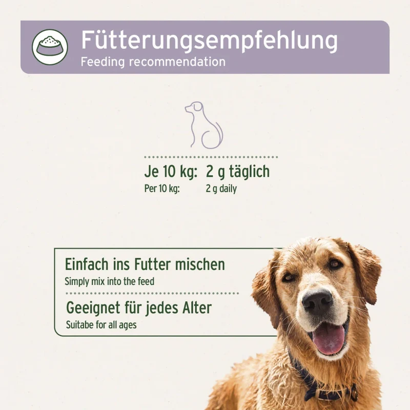 AniForte Calm & Relax – Natürliches Beruhigungspulver für ängstliche & nervöse Hunde – Pflanzliche Kräutermischung gegen Stress, Angst & Unruhe