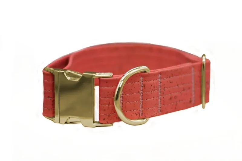 Hundehalsband mit Klickverschluss | Korkleder | Robust & Vegan | Coral/Gold
