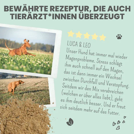 Noms+ Verdauungsmix für Hunde | Hilfe bei Durchfall | Für gesunde Darmfunktion | 100% vegan & tierleidfrei
