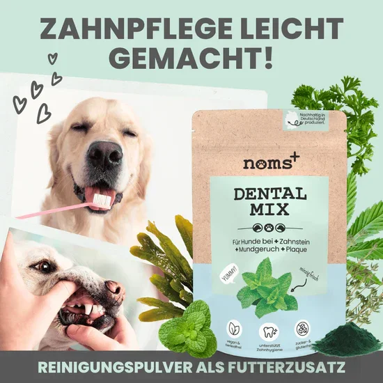 Noms+ Dentalmix für Hunde | Bei Plaque & Zahnstein | Rein Pflanzlich & frischer Atem | 100% vegan & tierleidfrei