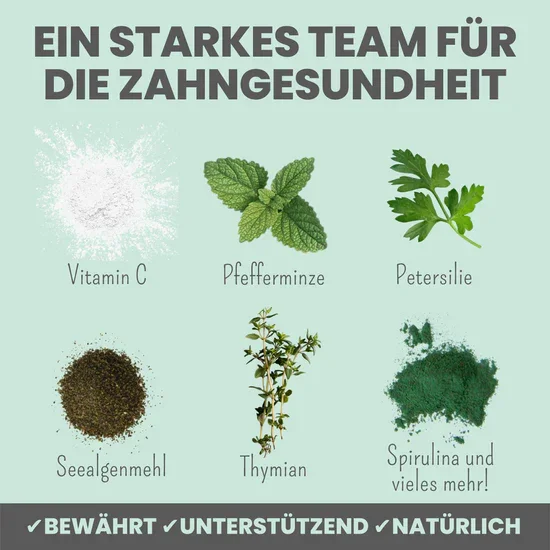 Noms+ Dentalmix für Hunde | Bei Plaque & Zahnstein | Rein Pflanzlich & frischer Atem | 100% vegan & tierleidfrei