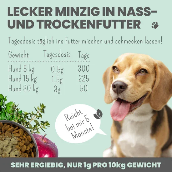 Noms+ Dentalmix für Hunde | Bei Plaque & Zahnstein | Rein Pflanzlich & frischer Atem | 100% vegan & tierleidfrei