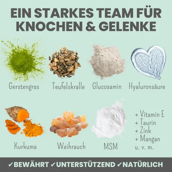 Noms+ Gelenkmix mit Teufelskralle, Kurkuma & Glucosamin für Hunde & Katzen | Unterstützt akut & frühzeitig | 100% vegan & tierleidfrei