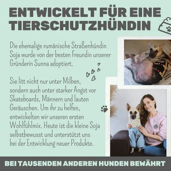Noms+ Wohlfühlmix Pulver für Hunde & Katzen | Bei Stress, Angst, Unruhe & Hyperaktivität | 100% vegan & tierleidfrei