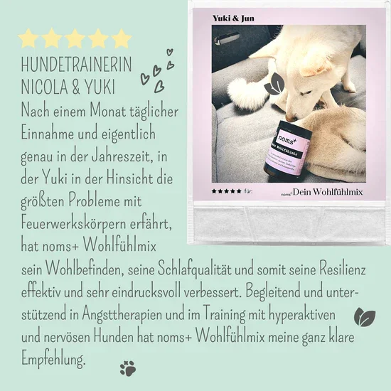 Noms+ Wohlfühlmix Pulver für Hunde & Katzen | Bei Stress, Angst, Unruhe & Hyperaktivität | 100% vegan & tierleidfrei
