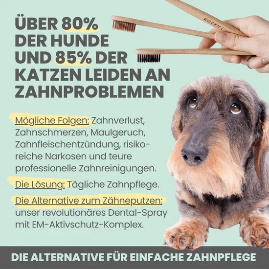 Natürliches Noms+ Dentalspray bei Zahnstein uvm. | Hoch-effektive Pflanzenextrakte | Für Hunde & Katzen | 100% vegan & tierleidfrei