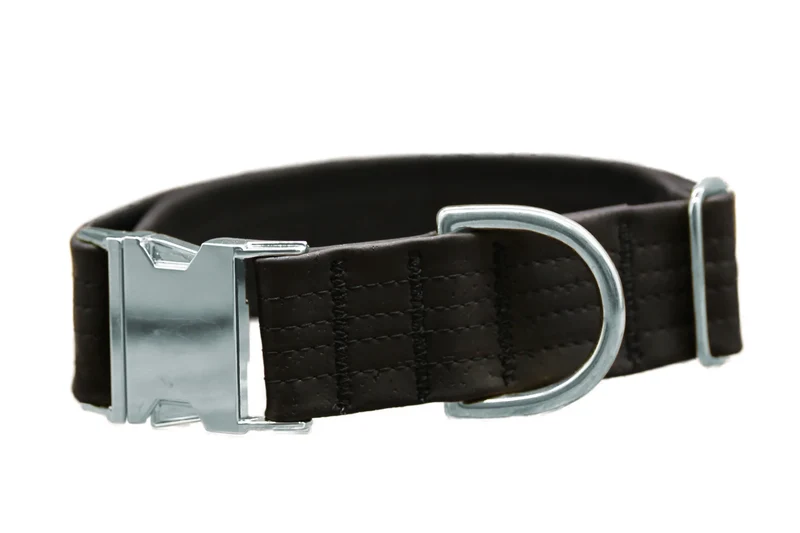 Hundehalsband mit Klickverschluss | Korkleder | Robust & Vegan | Schwarz/Silber