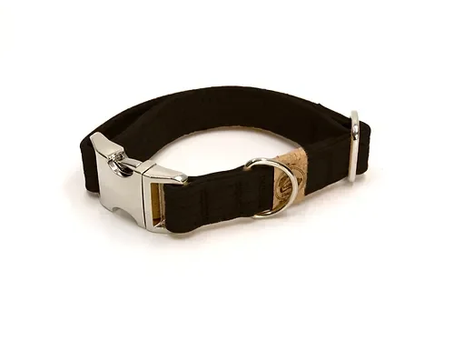 Hundehalsband mit Klickverschluss | Korkleder | Robust & Vegan | Schwarz/Silber