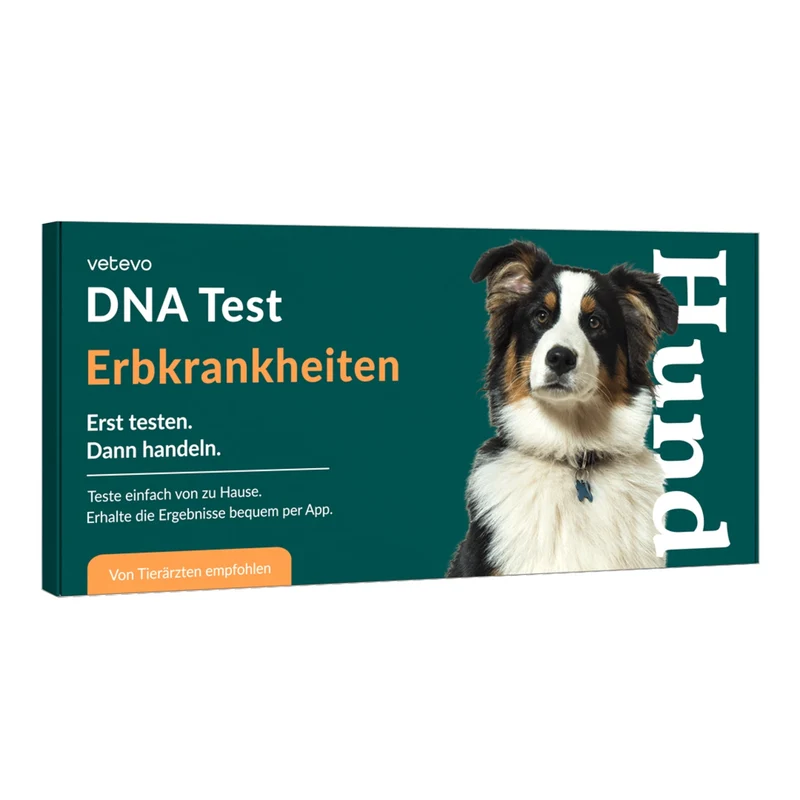 Vetevo DNA-Test Hund – 175+ Erbkrankheiten erkennen, bevor Symptome auftreten | Genetischer Gesundheitscheck