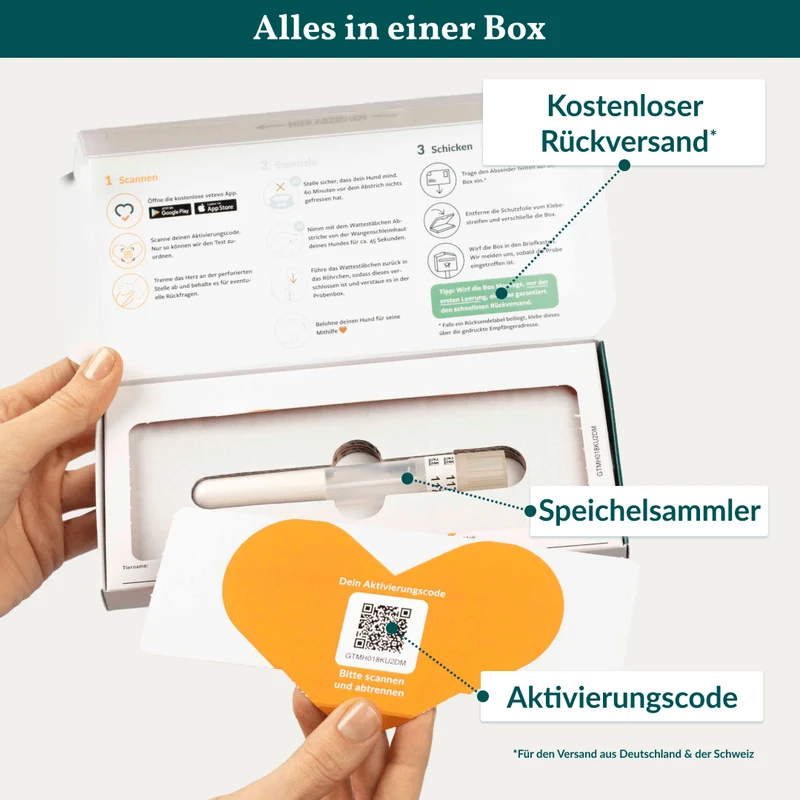 Vetevo DNA Test Hund Pro + MDR1 – Rassebestimmung Pro mit MDR-1 Gendefekt-Analyse | 350+ Rassen erkennen, Gesundheit & Verhalten verstehen