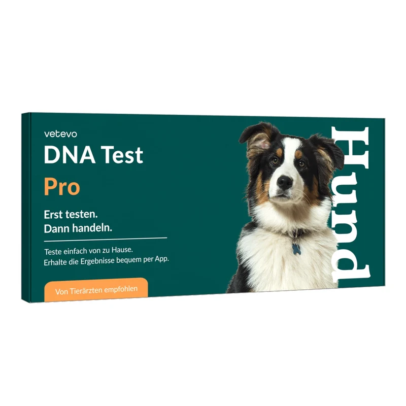 Vetevo DNA-Test Pro Hund – Rassebestimmung für 350+ Rassen | Stammbaum, Rasseportraits & interaktiver Befund