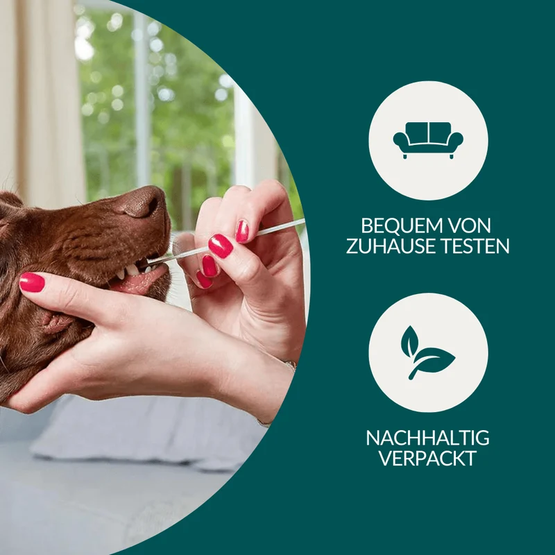 Vetevo DNA-Test Pro Hund – Rassebestimmung für 350+ Rassen | Stammbaum, Rasseportraits & interaktiver Befund