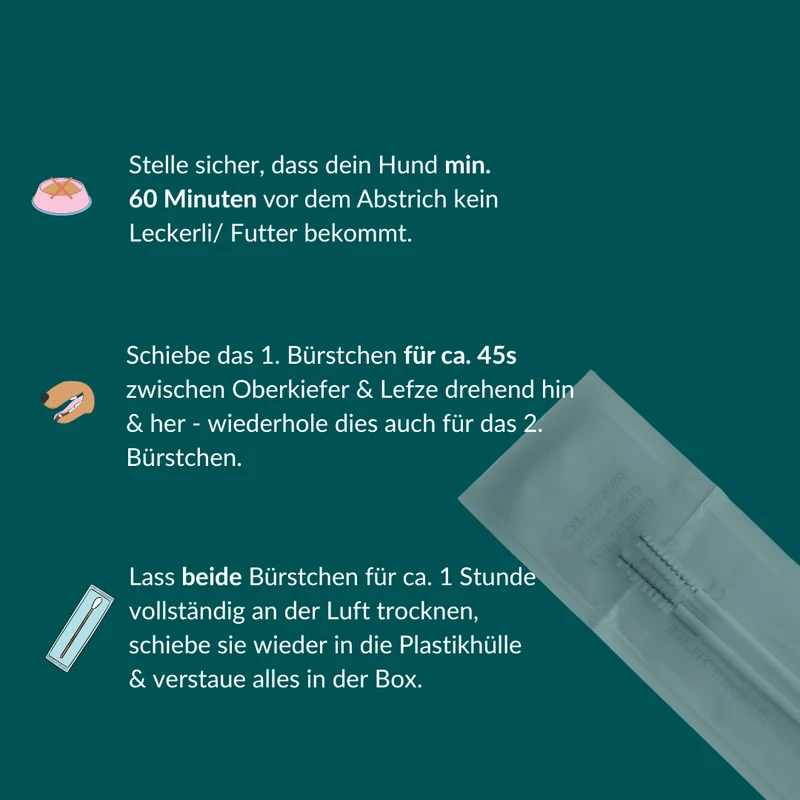 Vetevo DNA-Test Pro Hund – Rassebestimmung für 350+ Rassen | Stammbaum, Rasseportraits & interaktiver Befund