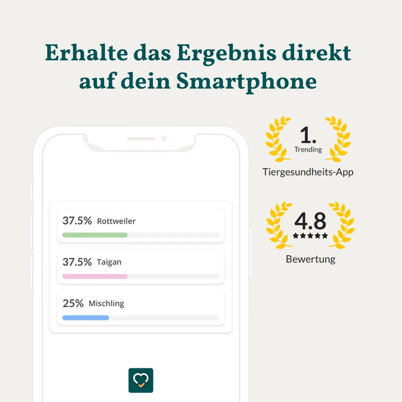 Vetevo DNA-Test Pro Hund – Rassebestimmung für 350+ Rassen | Stammbaum, Rasseportraits & interaktiver Befund