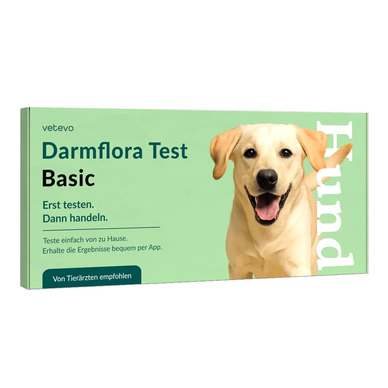 Vetevo Darmflora Test Basic für Hunde – Bakterienprofil, pH-Wert & Futterrückstände analysieren | Bei Durchfall, Hautproblemen, Maulgeruch & Allergien | Ergebnisse in 24h direkt aufs Handy