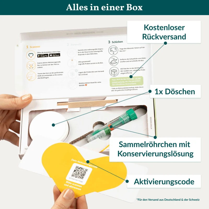 Vetevo Darmflora Test Basic für Hunde – Bakterienprofil, pH-Wert & Futterrückstände analysieren | Bei Durchfall, Hautproblemen, Maulgeruch & Allergien | Ergebnisse in 24h direkt aufs Handy