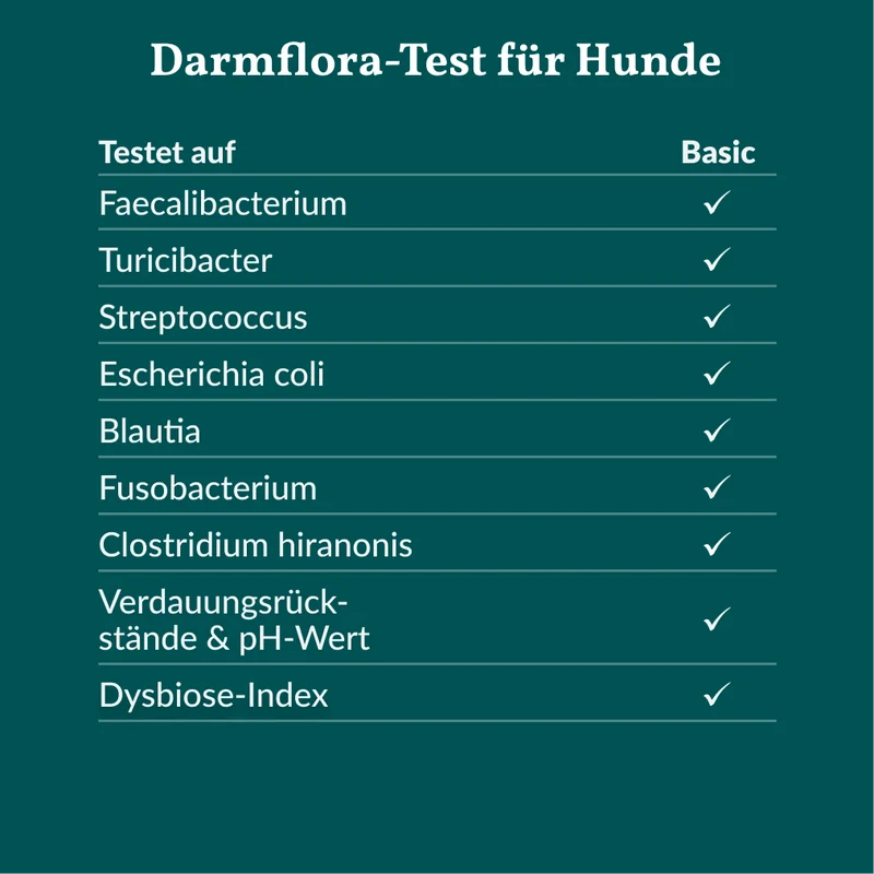 Vetevo Darmflora Test Basic für Hunde – Bakterienprofil, pH-Wert & Futterrückstände analysieren | Bei Durchfall, Hautproblemen, Maulgeruch & Allergien | Ergebnisse in 24h direkt aufs Handy