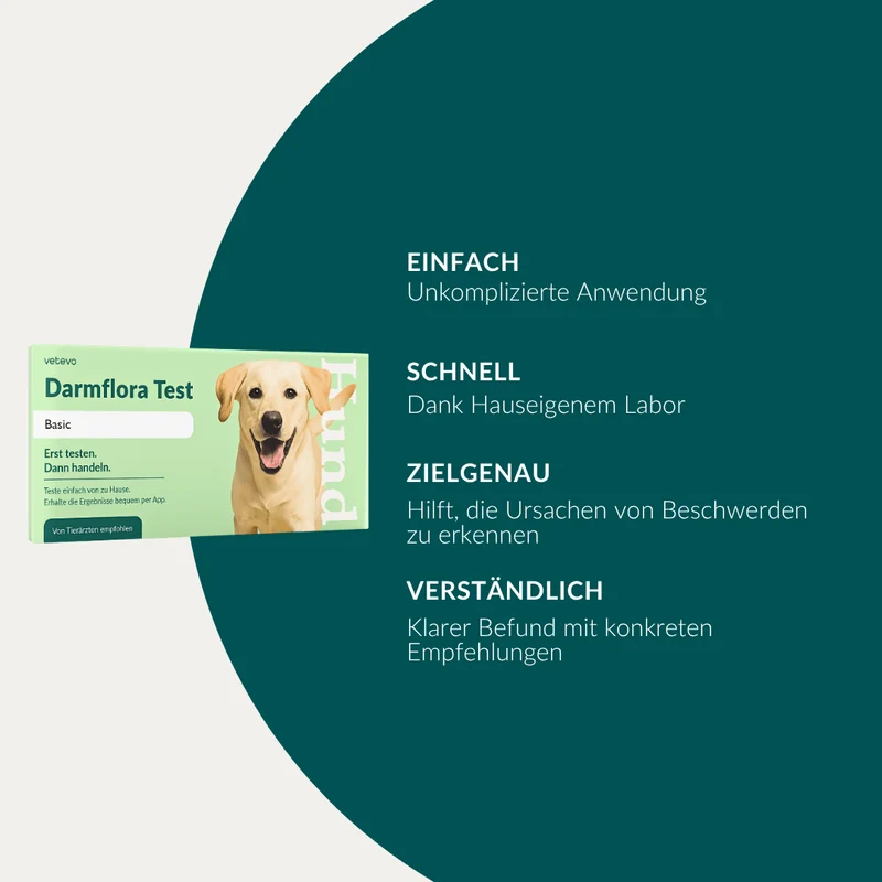 Vetevo Darmflora Test Basic für Hunde – Bakterienprofil, pH-Wert & Futterrückstände analysieren | Bei Durchfall, Hautproblemen, Maulgeruch & Allergien | Ergebnisse in 24h direkt aufs Handy