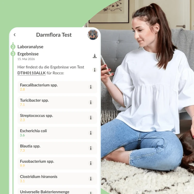 Vetevo Darmflora Test Basic für Hunde – Bakterienprofil, pH-Wert & Futterrückstände analysieren | Bei Durchfall, Hautproblemen, Maulgeruch & Allergien | Ergebnisse in 24h direkt aufs Handy