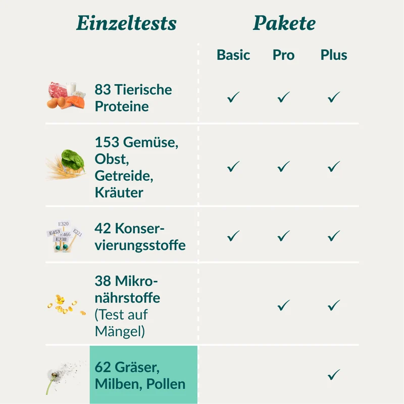 Vetevo Allergietest Hund – 62 Gräser, Milben & Pollen | Juckreiz, Niesen & Pfotenlecken endlich auf den Grund gehen