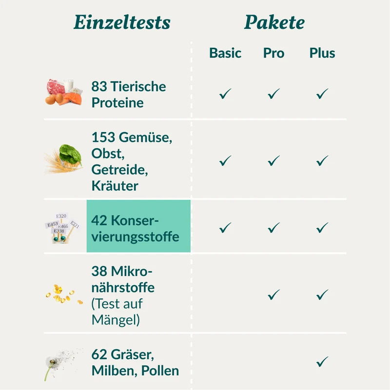 Vetevo Allergietest Konservierungsstoffe Hund – Endlich Klarheit bei Juckreiz, Durchfall & Pfotenlecken | 42 Unverträglichkeiten testen