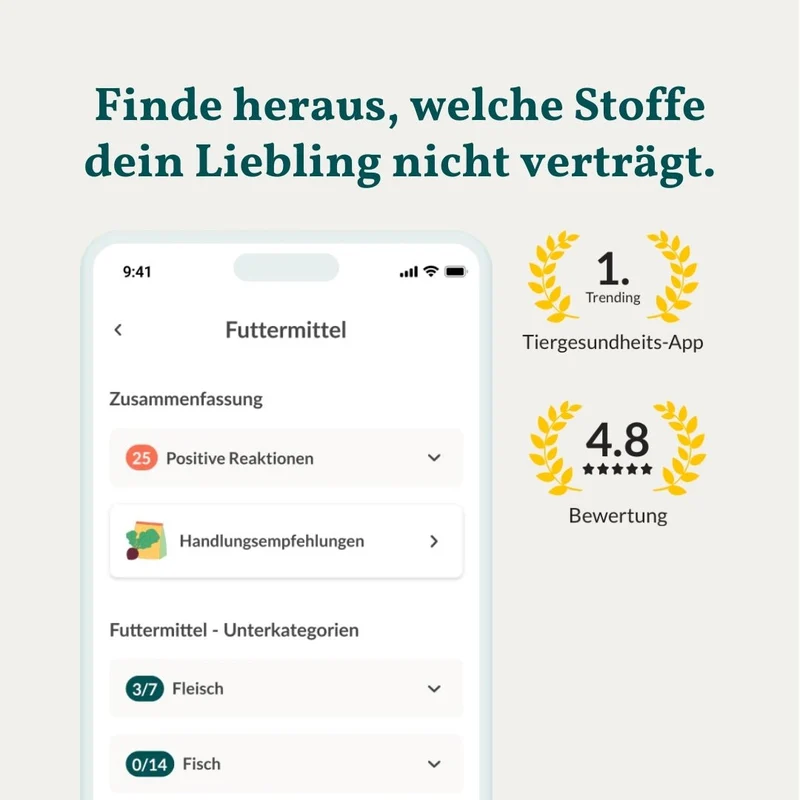 Vetevo Allergietest Konservierungsstoffe Hund – Endlich Klarheit bei Juckreiz, Durchfall & Pfotenlecken | 42 Unverträglichkeiten testen