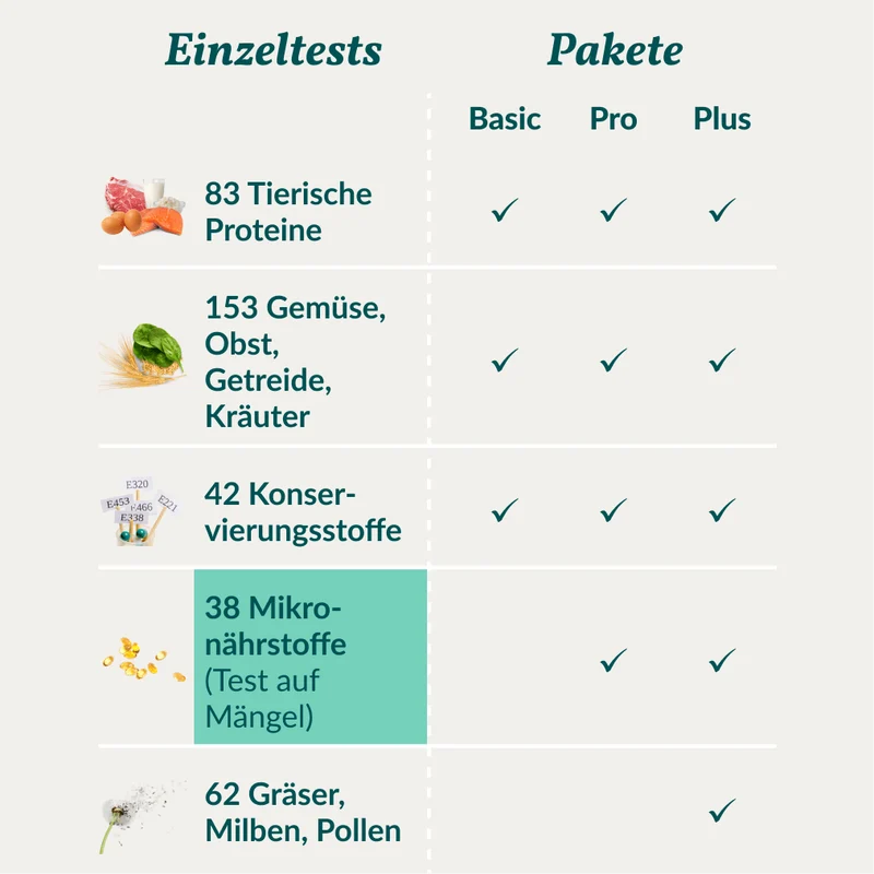 Vetevo Mikronährstofftest für Hunde – 38 Nährstoffe auf Mangel testen, Ergebnisse in 7 Tagen, tierärztlich ausgewertet