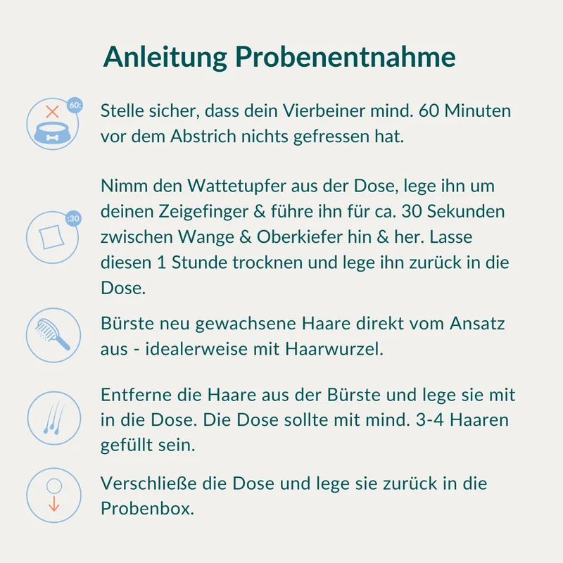 Vetevo Mikronährstofftest für Hunde – 38 Nährstoffe auf Mangel testen, Ergebnisse in 7 Tagen, tierärztlich ausgewertet