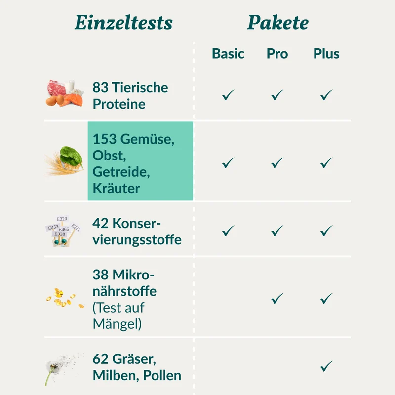 Vetevo Allergietest Hund – 153 Unverträglichkeiten erkennen | Getreide, Gemüse, Obst, Kräuter & Öle | Ursachen für Juckreiz, Durchfall & Pfotenlecken endlich aufdecken