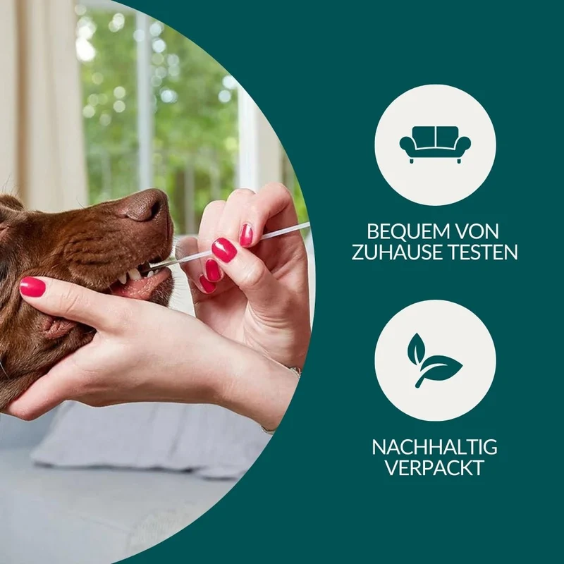 Vetevo Allergietest Hund – 153 Unverträglichkeiten erkennen | Getreide, Gemüse, Obst, Kräuter & Öle | Ursachen für Juckreiz, Durchfall & Pfotenlecken endlich aufdecken