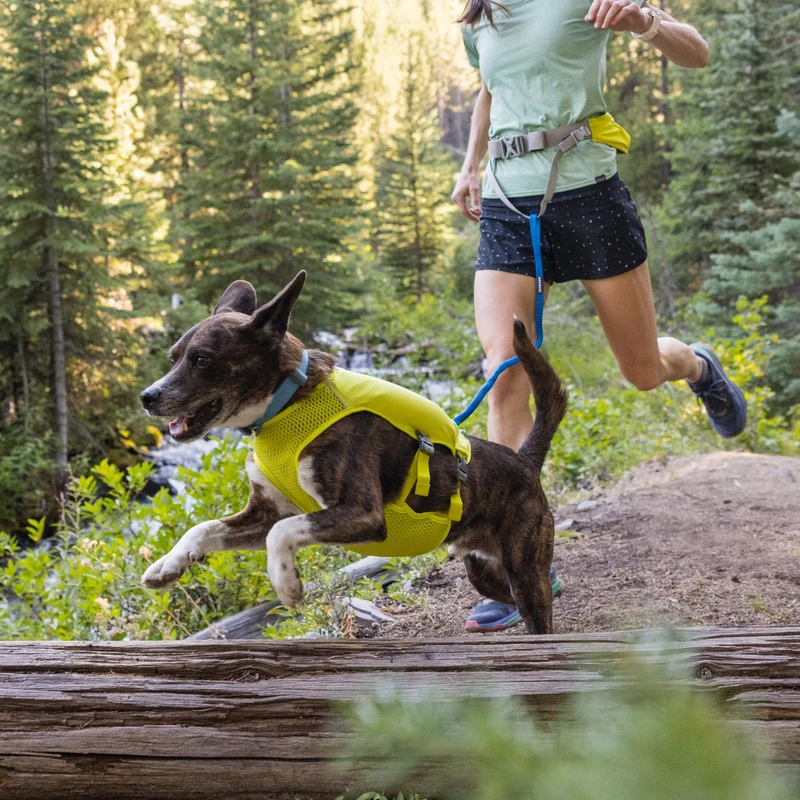 Ruffwear Trail Runner Running Vest – Ultraleichte Laufweste mit Trinkrucksack für aktive Hunde beim Joggen, Wandern & Trail Running
