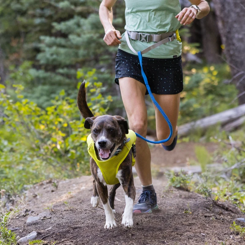 Ruffwear Trail Runner Running Vest – Ultraleichte Laufweste mit Trinkrucksack für aktive Hunde beim Joggen, Wandern & Trail Running