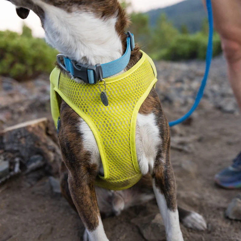 Ruffwear Trail Runner Running Vest – Ultraleichte Laufweste mit Trinkrucksack für aktive Hunde beim Joggen, Wandern & Trail Running