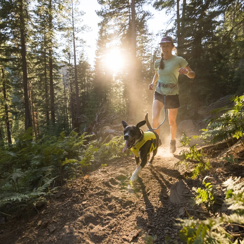 Ruffwear Trail Runner Running Vest – Ultraleichte Laufweste mit Trinkrucksack für aktive Hunde beim Joggen, Wandern & Trail Running