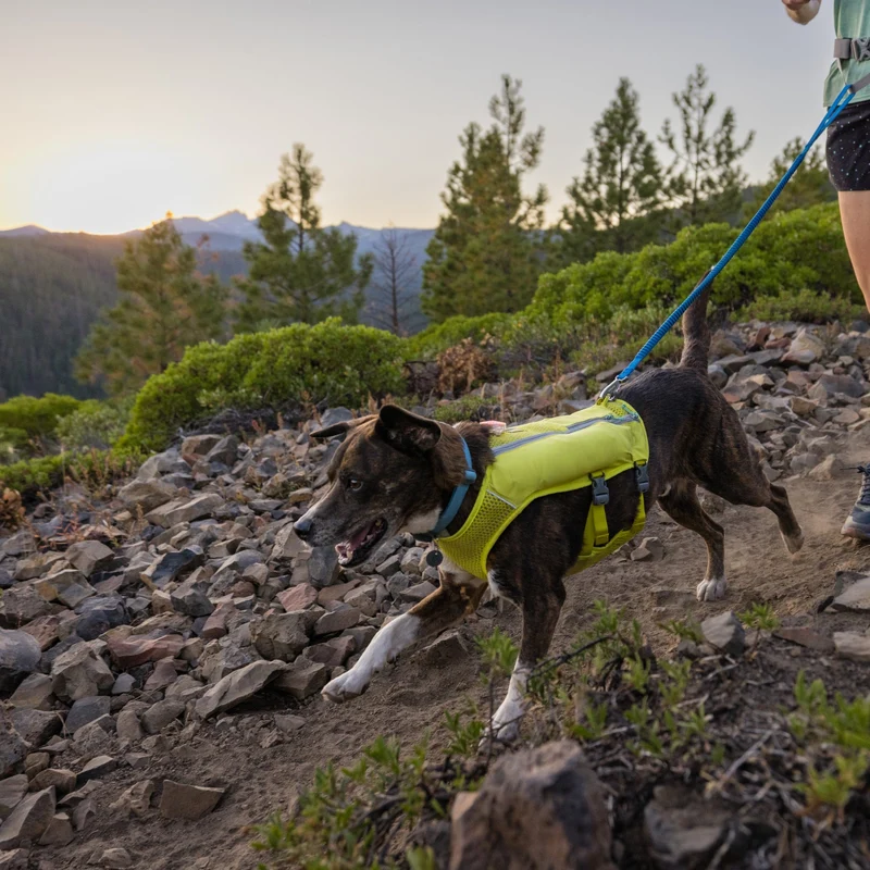 Ruffwear Trail Runner Running Vest – Ultraleichte Laufweste mit Trinkrucksack für aktive Hunde beim Joggen, Wandern & Trail Running