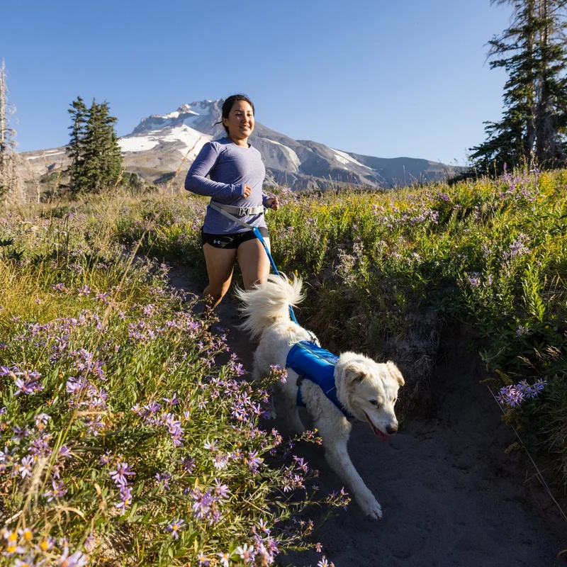Ruffwear Trail Runner Running Vest – Ultraleichte Laufweste mit Trinkrucksack für aktive Hunde beim Joggen, Wandern & Trail Running