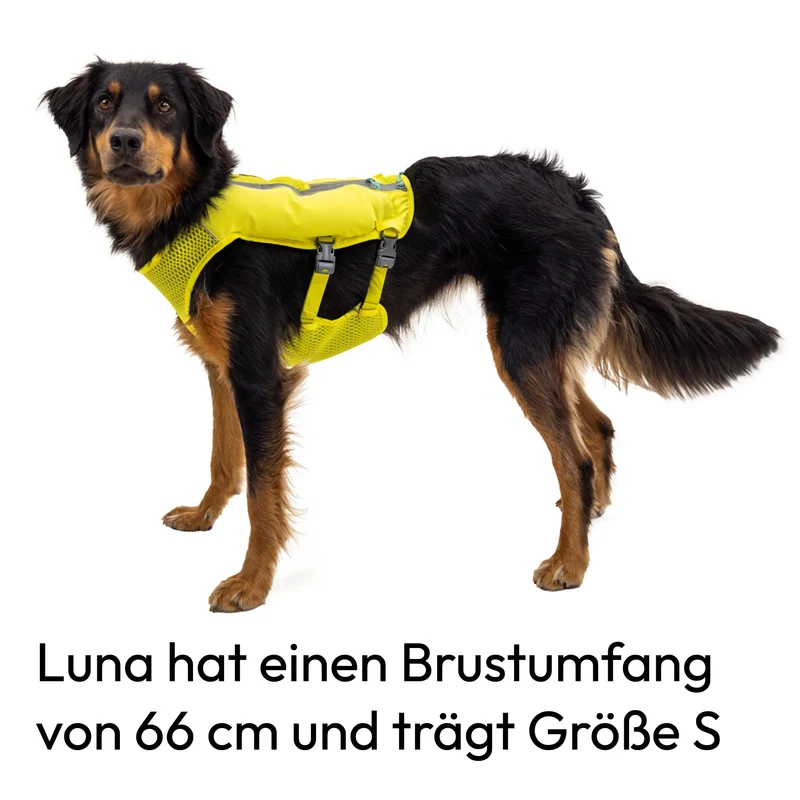 Ruffwear Trail Runner Running Vest – Ultraleichte Laufweste mit Trinkrucksack für aktive Hunde beim Joggen, Wandern & Trail Running